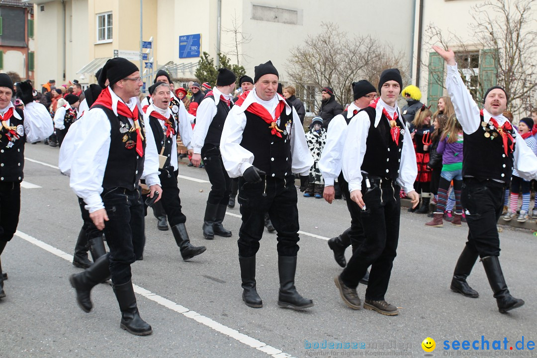 Rosenmontagsumzug: Gottmadingen am Bodensee, 11.02.2013