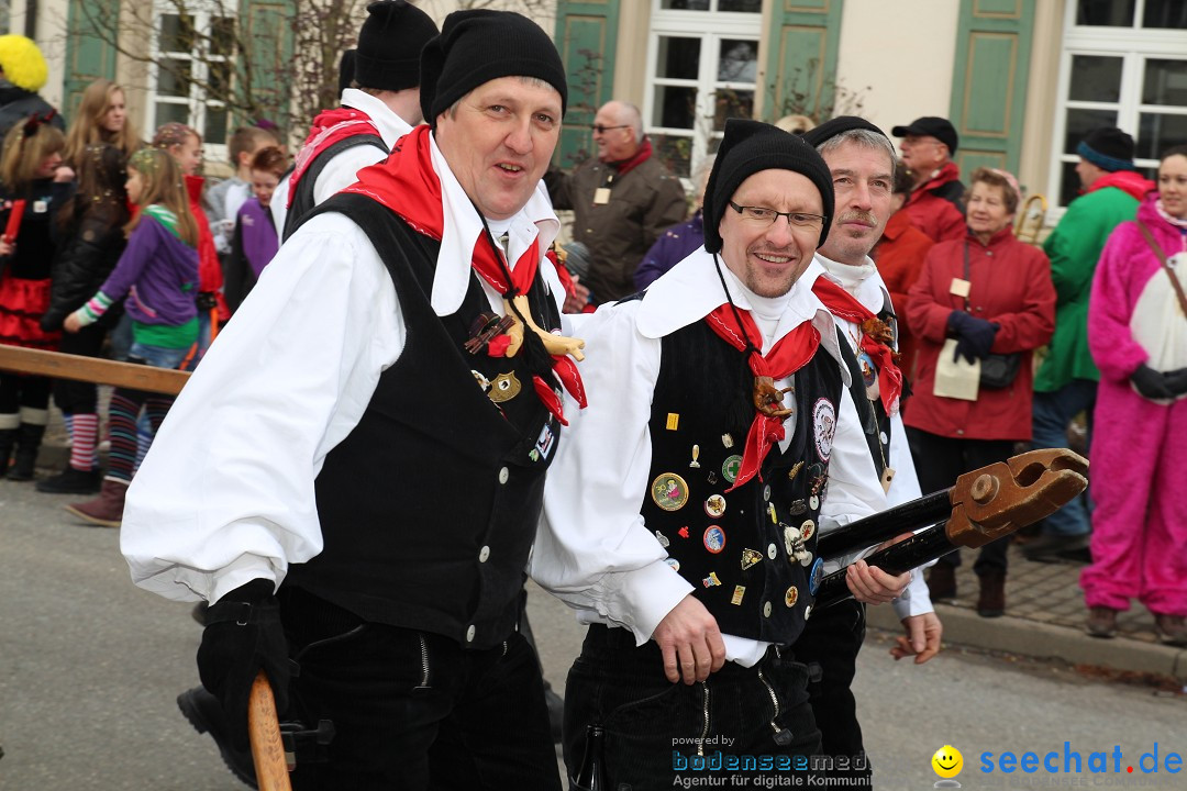 Rosenmontagsumzug: Gottmadingen am Bodensee, 11.02.2013