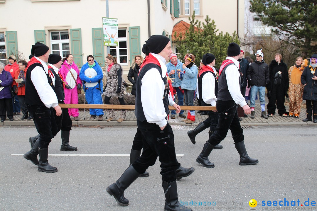 Rosenmontagsumzug: Gottmadingen am Bodensee, 11.02.2013