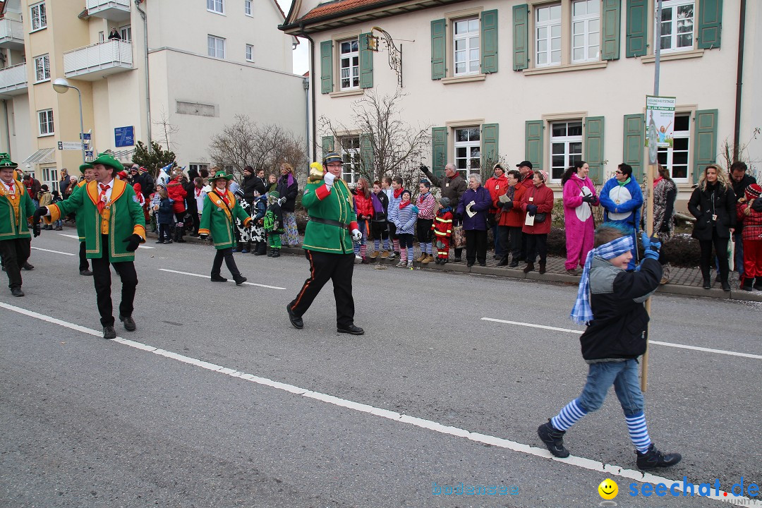 Rosenmontagsumzug: Gottmadingen am Bodensee, 11.02.2013