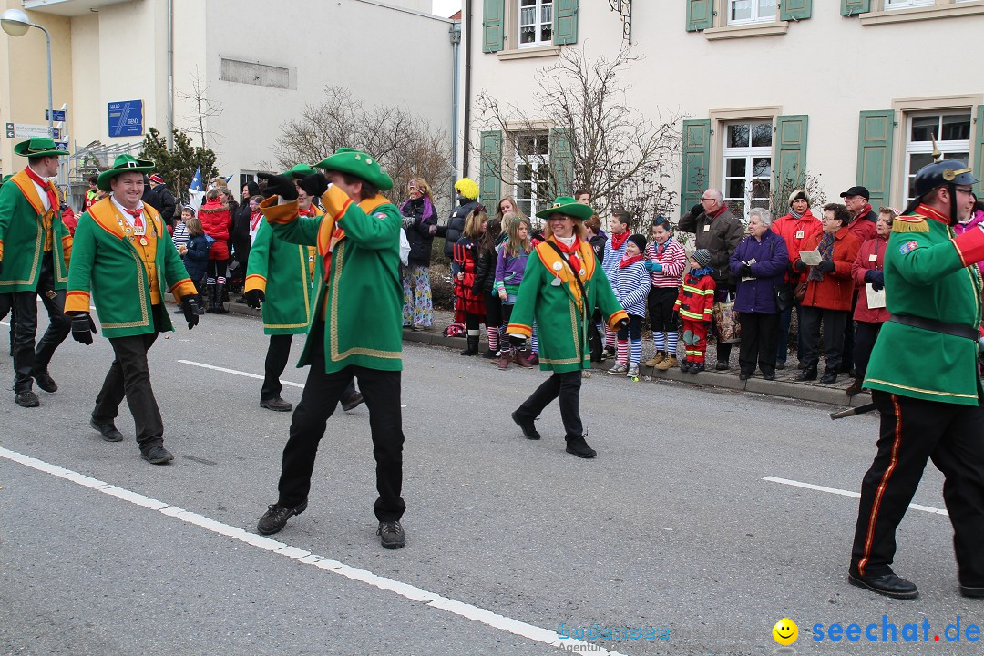 Rosenmontagsumzug: Gottmadingen am Bodensee, 11.02.2013