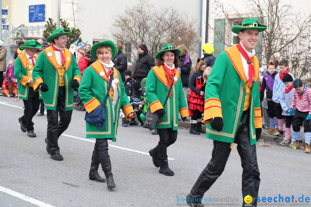 Rosenmontagsumzug: Gottmadingen am Bodensee, 11.02.2013