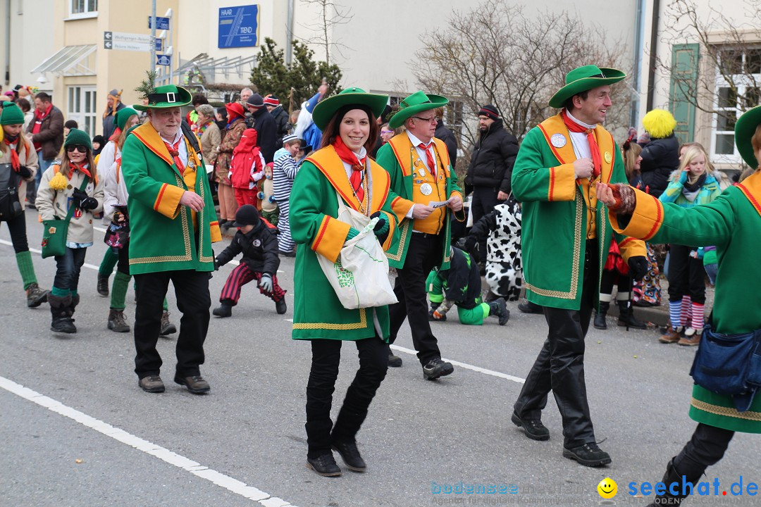 Rosenmontagsumzug: Gottmadingen am Bodensee, 11.02.2013