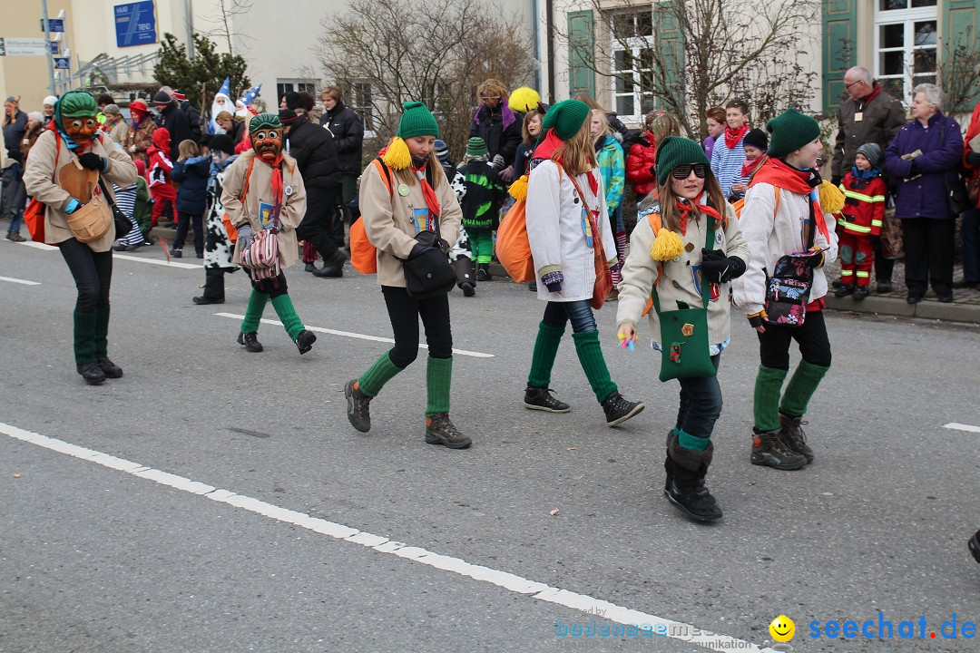 Rosenmontagsumzug: Gottmadingen am Bodensee, 11.02.2013