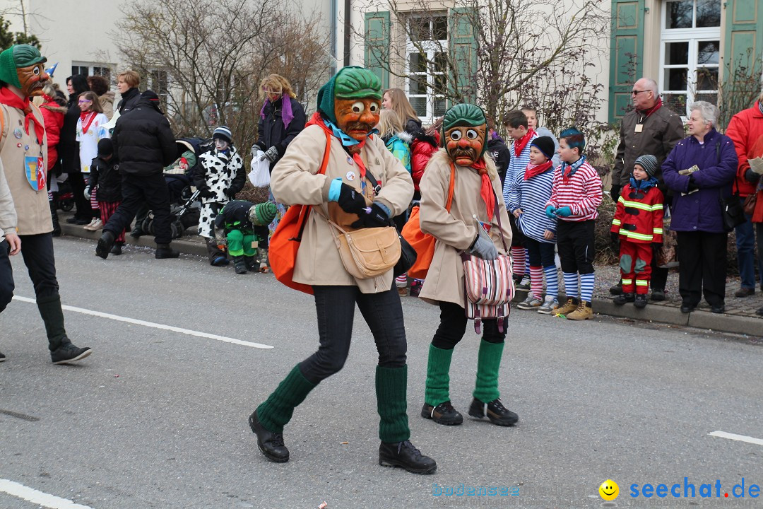 Rosenmontagsumzug: Gottmadingen am Bodensee, 11.02.2013