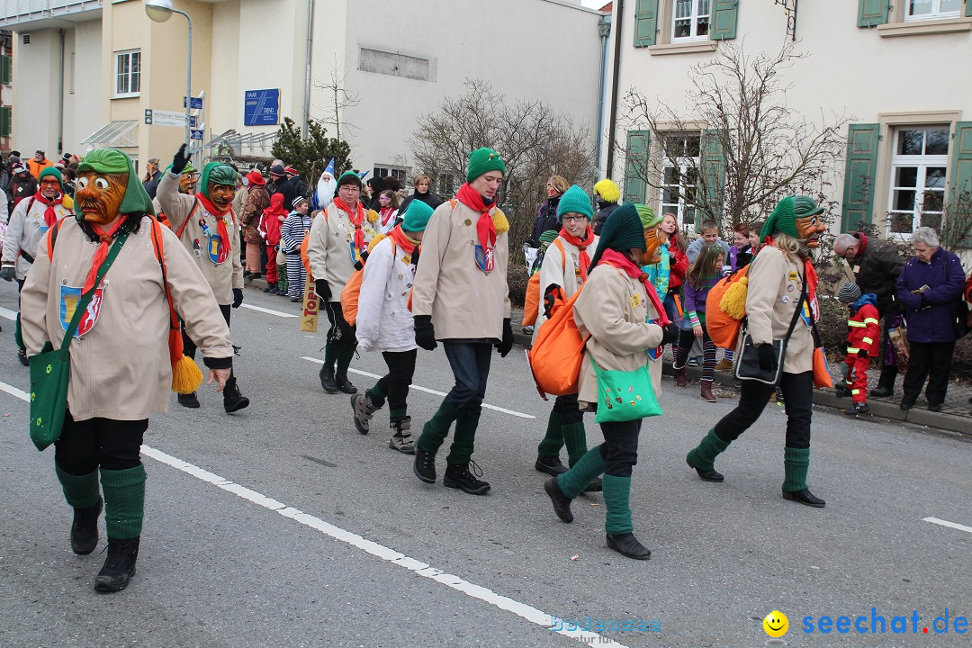 Rosenmontagsumzug: Gottmadingen am Bodensee, 11.02.2013