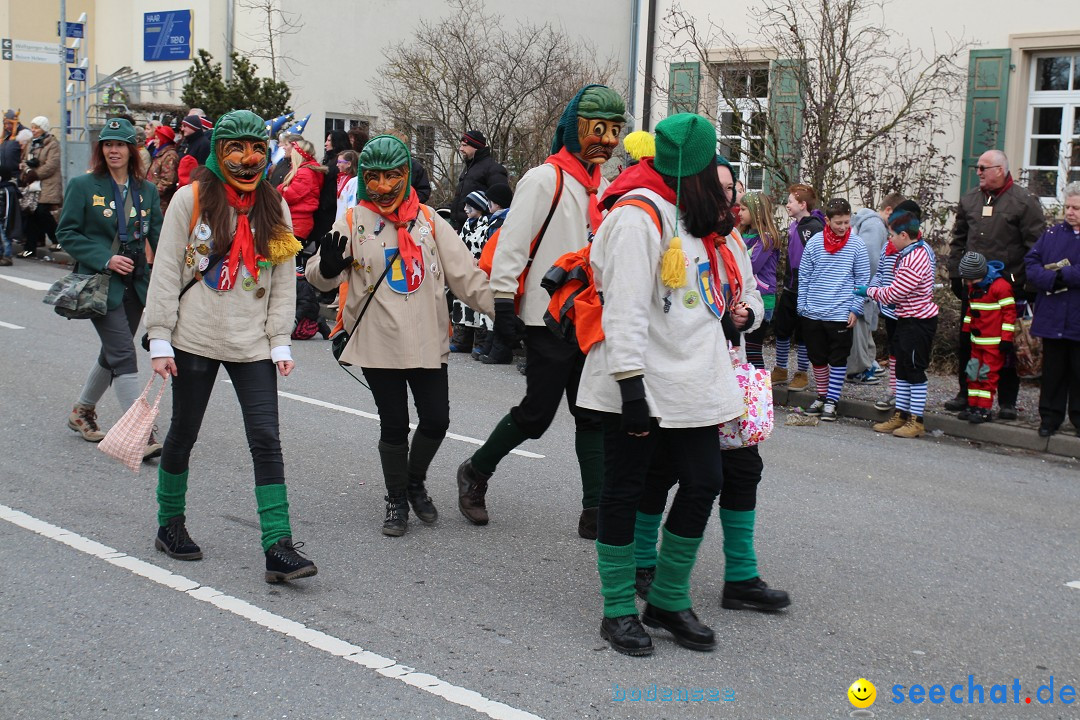 Rosenmontagsumzug: Gottmadingen am Bodensee, 11.02.2013