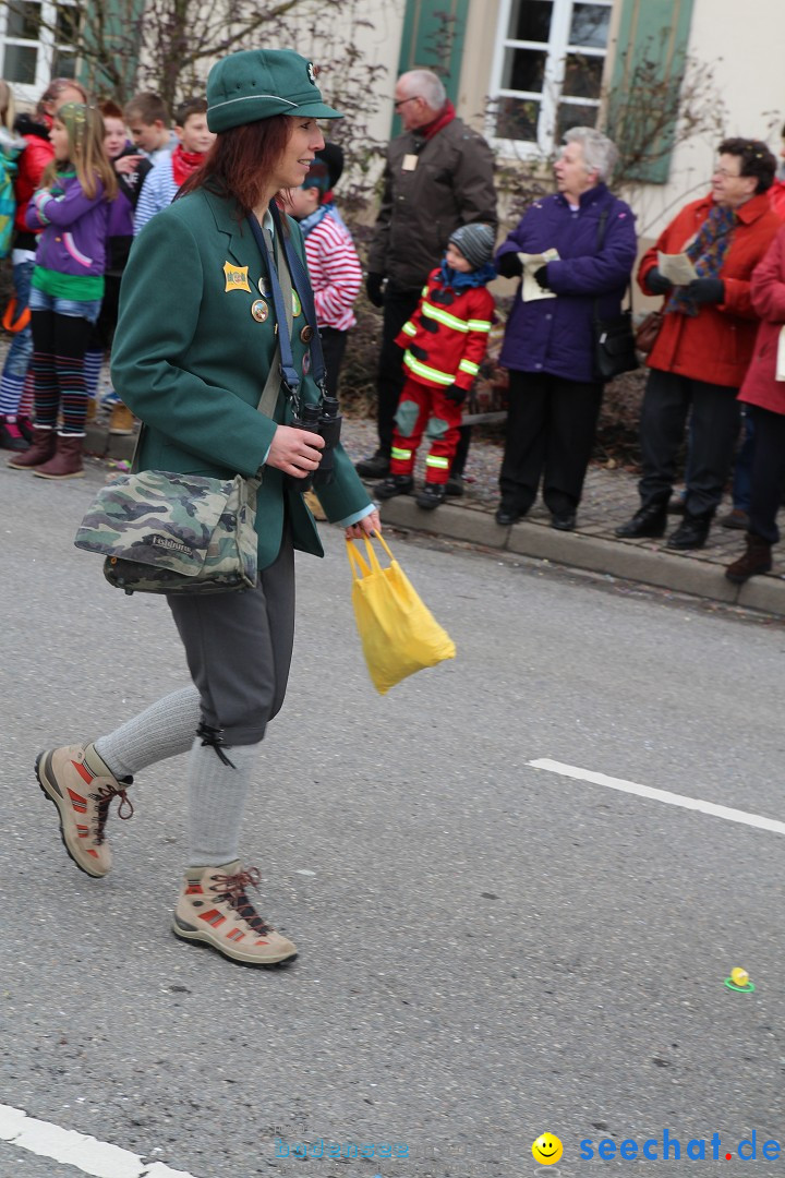 Rosenmontagsumzug: Gottmadingen am Bodensee, 11.02.2013