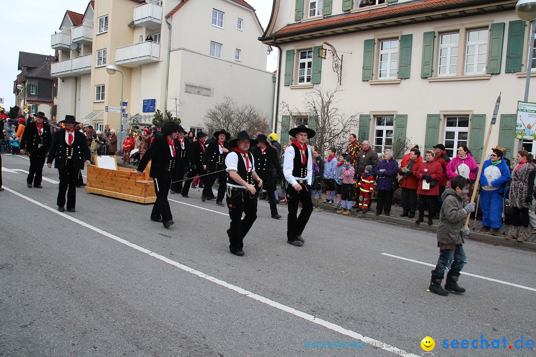 Rosenmontagsumzug: Gottmadingen am Bodensee, 11.02.2013