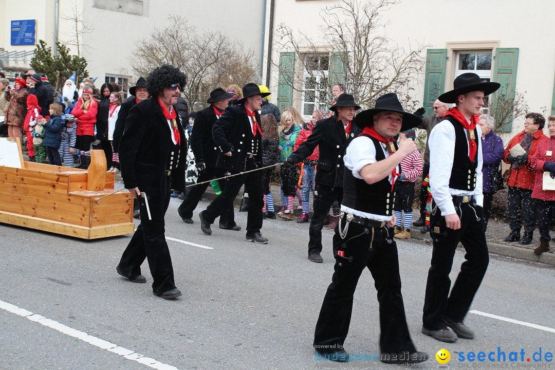 Rosenmontagsumzug: Gottmadingen am Bodensee, 11.02.2013