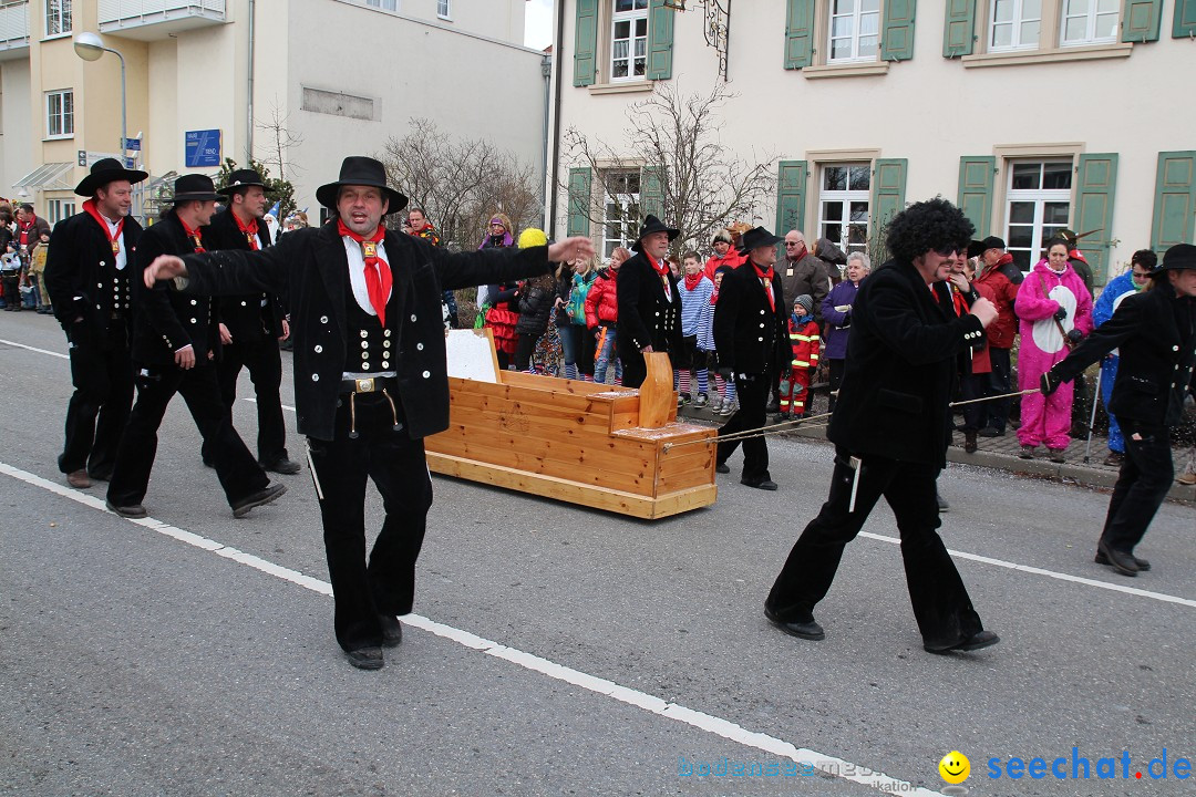 Rosenmontagsumzug: Gottmadingen am Bodensee, 11.02.2013