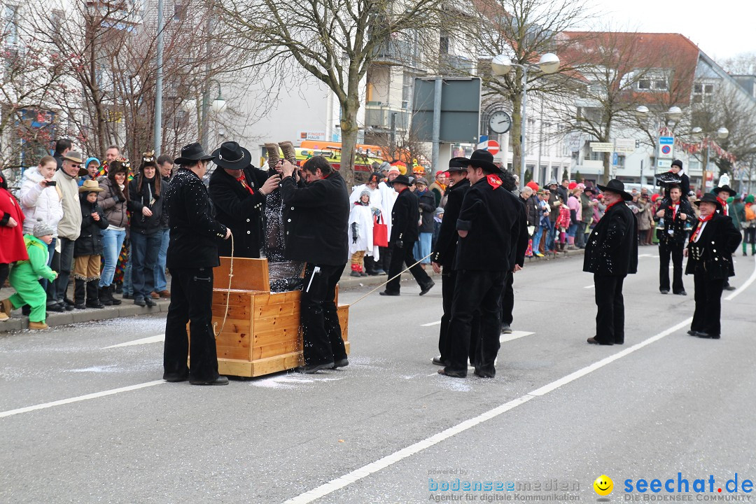 Rosenmontagsumzug: Gottmadingen am Bodensee, 11.02.2013