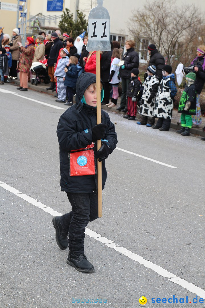 Rosenmontagsumzug: Gottmadingen am Bodensee, 11.02.2013