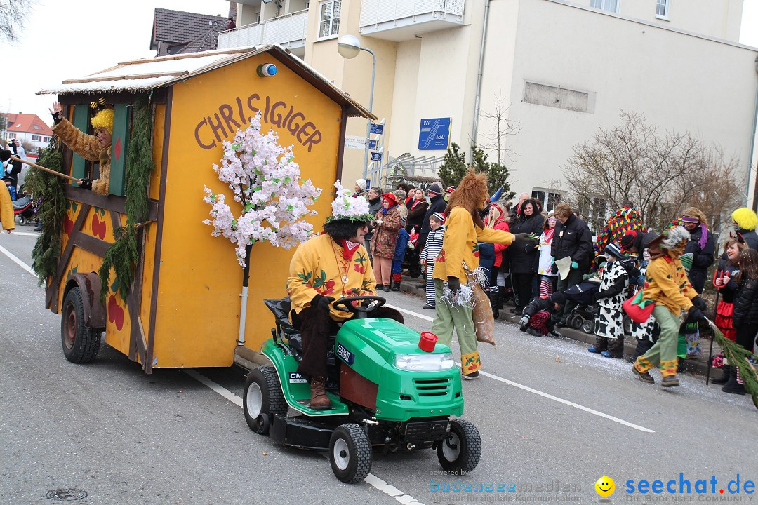 Rosenmontagsumzug: Gottmadingen am Bodensee, 11.02.2013