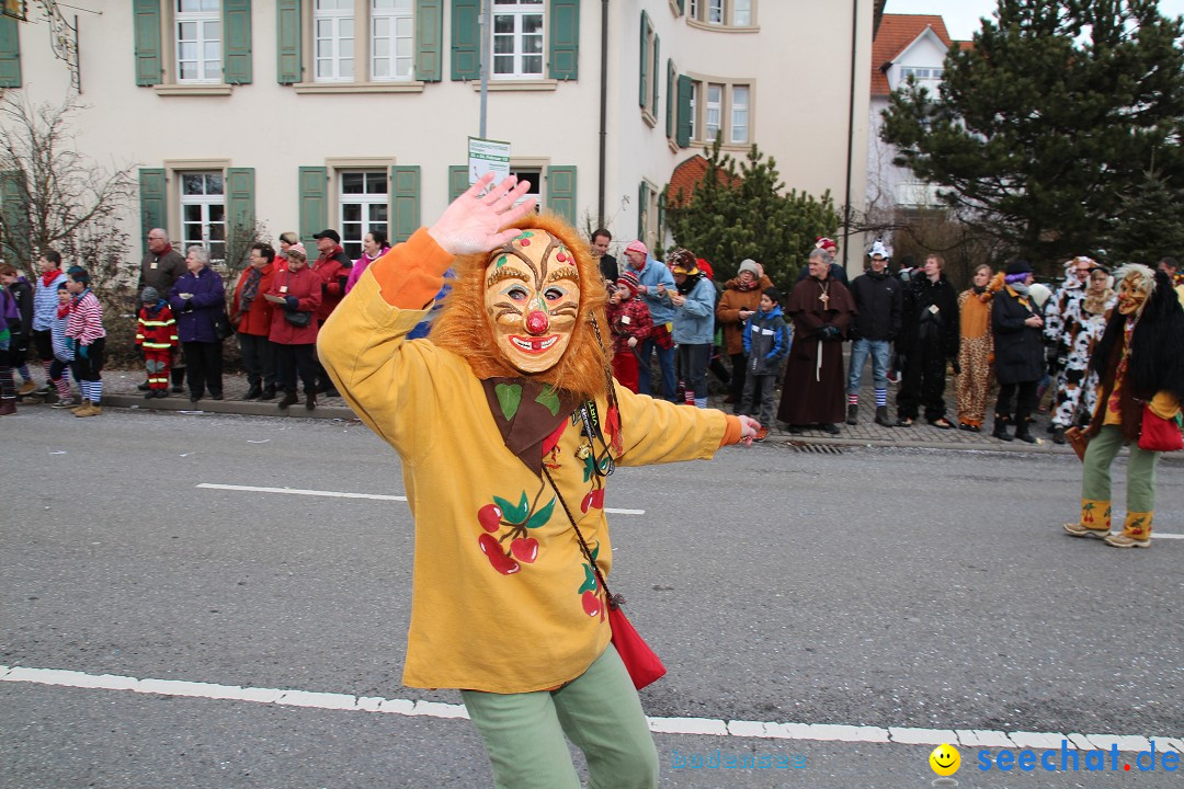 Rosenmontagsumzug: Gottmadingen am Bodensee, 11.02.2013