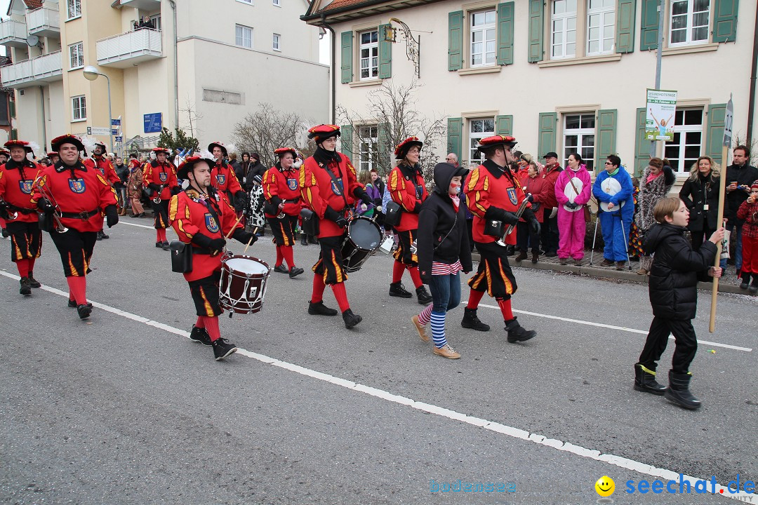 Rosenmontagsumzug: Gottmadingen am Bodensee, 11.02.2013