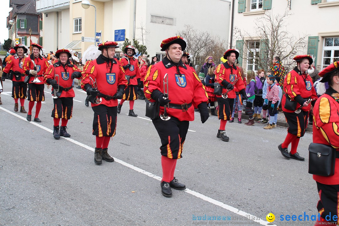 Rosenmontagsumzug: Gottmadingen am Bodensee, 11.02.2013