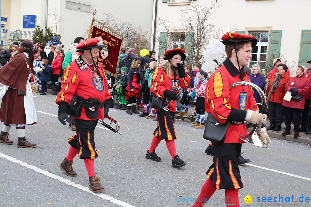 Rosenmontagsumzug: Gottmadingen am Bodensee, 11.02.2013