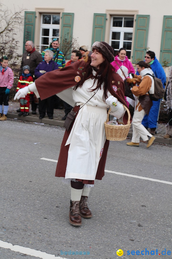 Rosenmontagsumzug: Gottmadingen am Bodensee, 11.02.2013