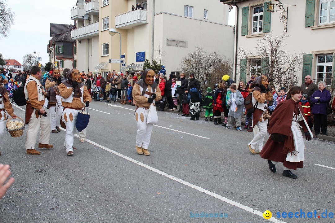 Rosenmontagsumzug: Gottmadingen am Bodensee, 11.02.2013