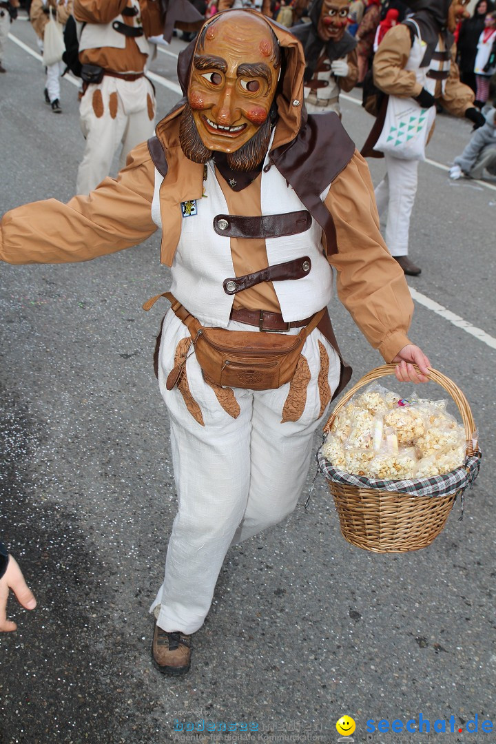 Rosenmontagsumzug: Gottmadingen am Bodensee, 11.02.2013