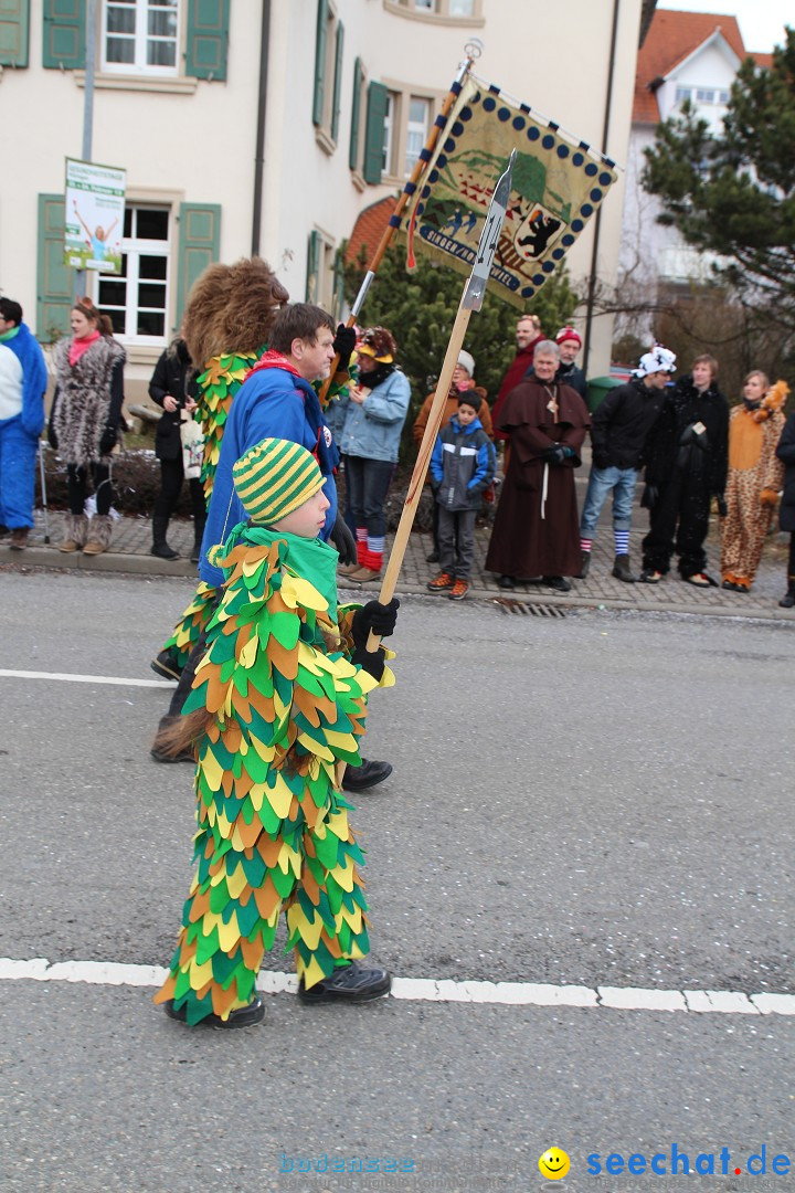 Rosenmontagsumzug: Gottmadingen am Bodensee, 11.02.2013