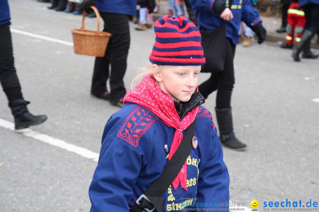 Rosenmontagsumzug: Gottmadingen am Bodensee, 11.02.2013