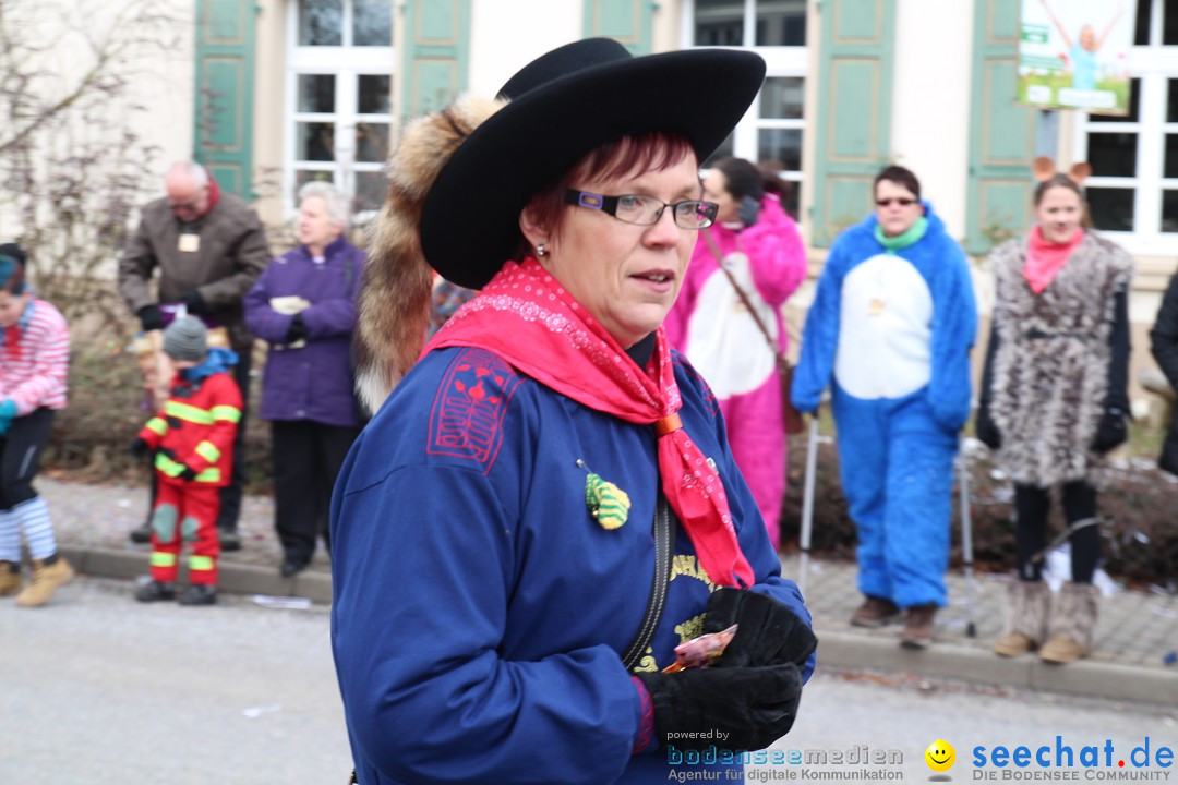 Rosenmontagsumzug: Gottmadingen am Bodensee, 11.02.2013