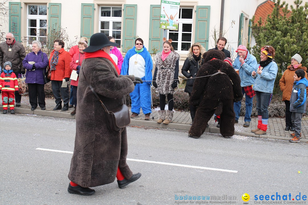 Rosenmontagsumzug: Gottmadingen am Bodensee, 11.02.2013