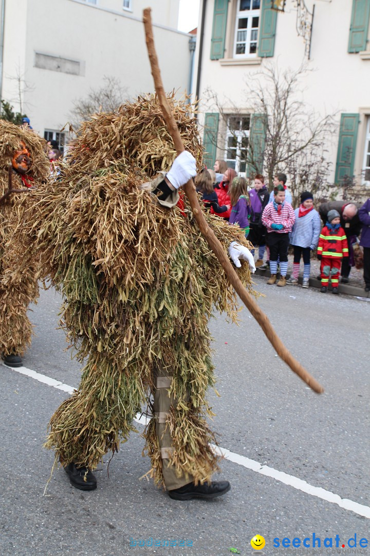 Rosenmontagsumzug: Gottmadingen am Bodensee, 11.02.2013