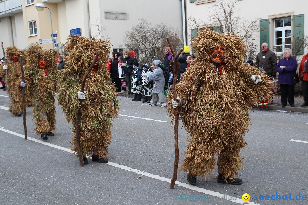 Rosenmontagsumzug: Gottmadingen am Bodensee, 11.02.2013