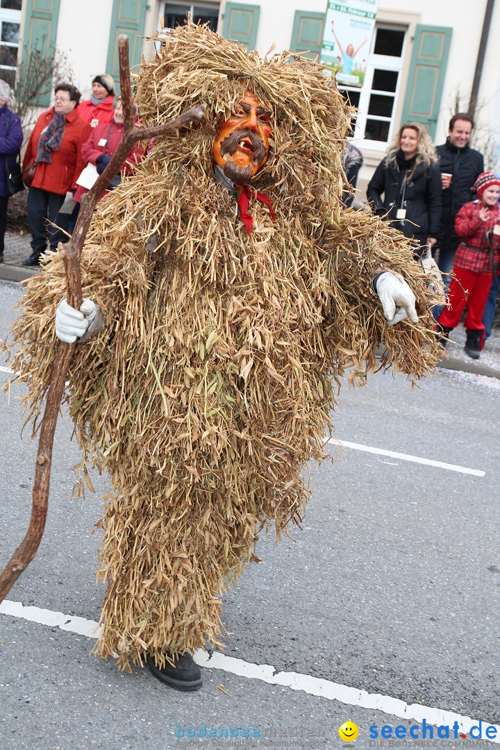 Rosenmontagsumzug: Gottmadingen am Bodensee, 11.02.2013