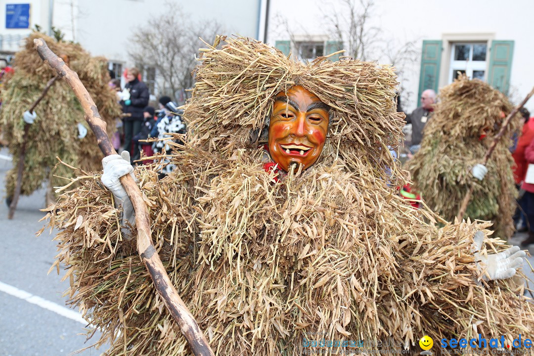 Rosenmontagsumzug: Gottmadingen am Bodensee, 11.02.2013