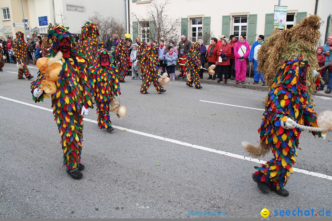 Rosenmontagsumzug: Gottmadingen am Bodensee, 11.02.2013