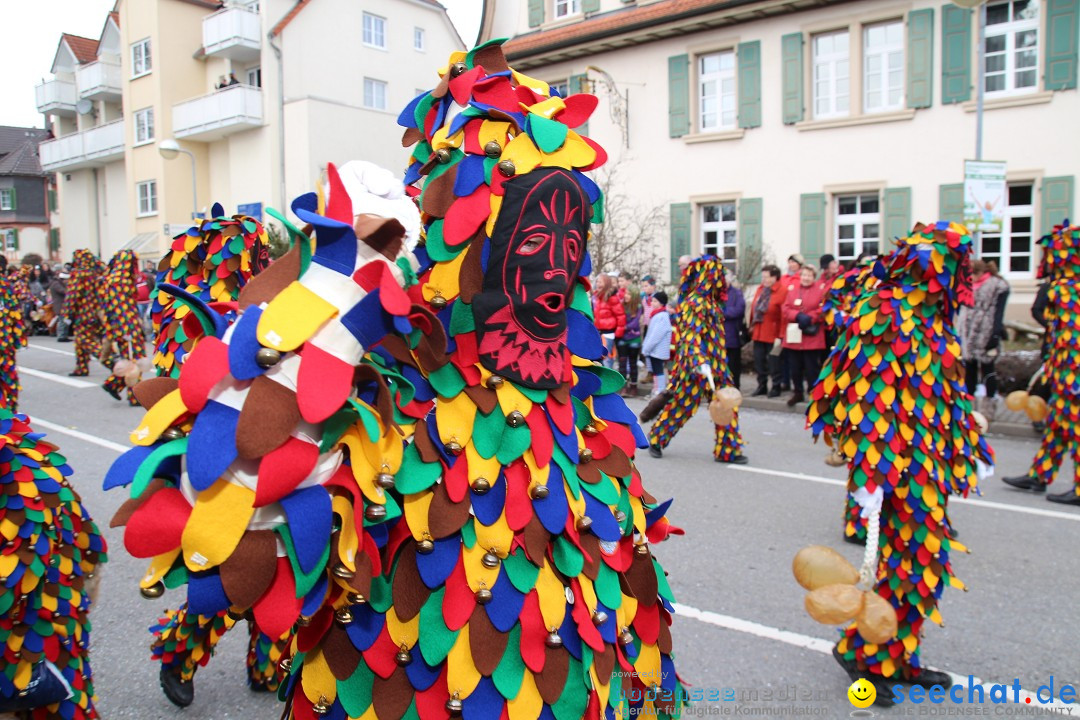 Rosenmontagsumzug: Gottmadingen am Bodensee, 11.02.2013