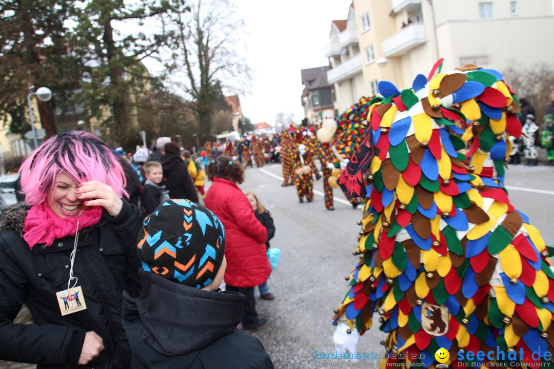 Rosenmontagsumzug: Gottmadingen am Bodensee, 11.02.2013