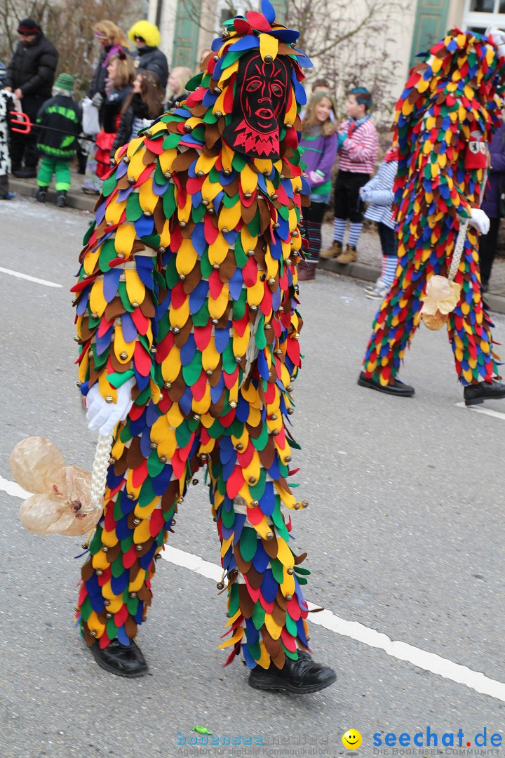 Rosenmontagsumzug: Gottmadingen am Bodensee, 11.02.2013