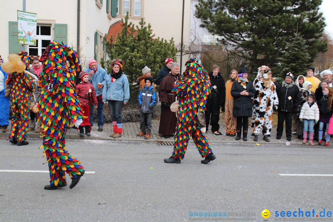 Rosenmontagsumzug: Gottmadingen am Bodensee, 11.02.2013