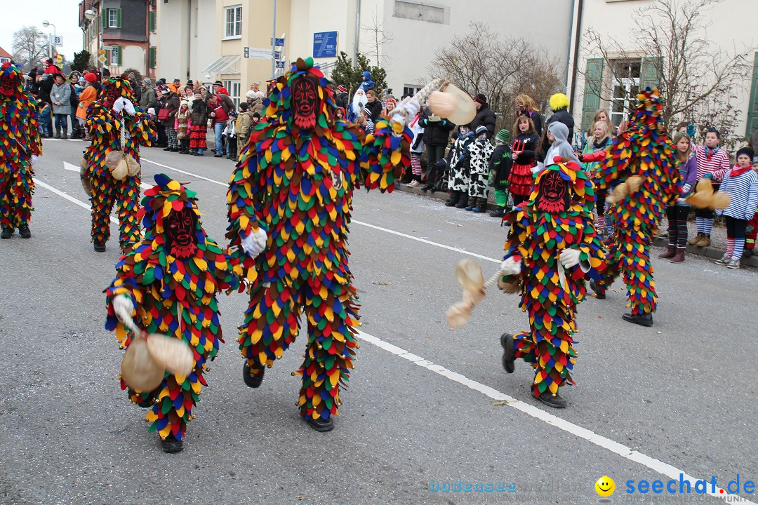 Rosenmontagsumzug: Gottmadingen am Bodensee, 11.02.2013