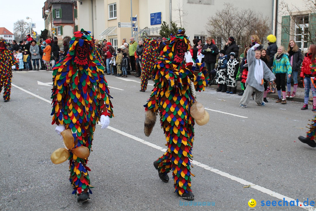 Rosenmontagsumzug: Gottmadingen am Bodensee, 11.02.2013