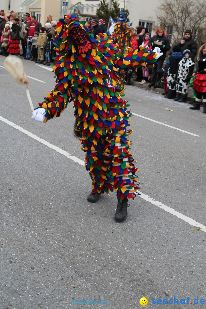 Rosenmontagsumzug: Gottmadingen am Bodensee, 11.02.2013