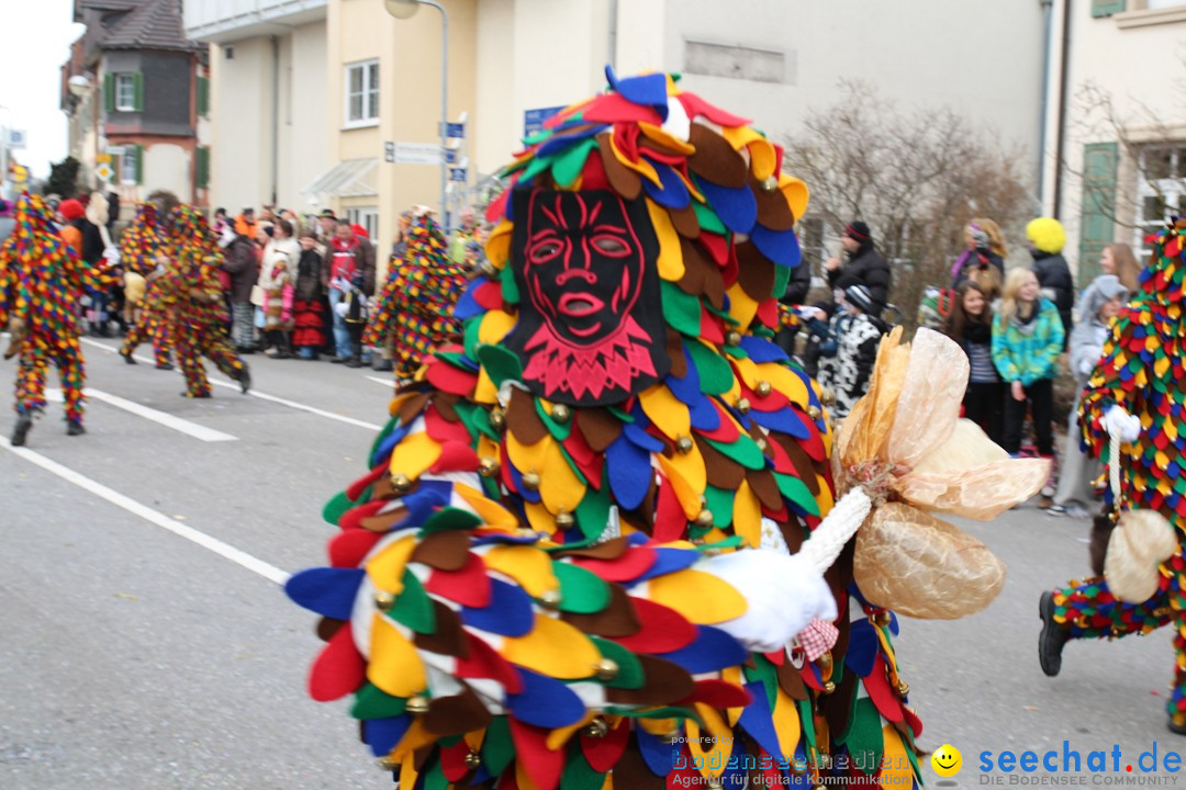 Rosenmontagsumzug: Gottmadingen am Bodensee, 11.02.2013