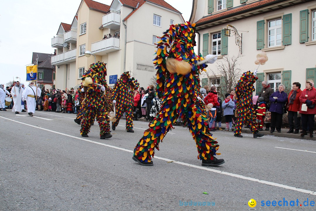 Rosenmontagsumzug: Gottmadingen am Bodensee, 11.02.2013