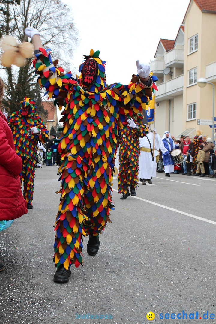 Rosenmontagsumzug: Gottmadingen am Bodensee, 11.02.2013