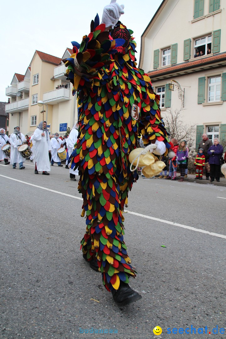 Rosenmontagsumzug: Gottmadingen am Bodensee, 11.02.2013