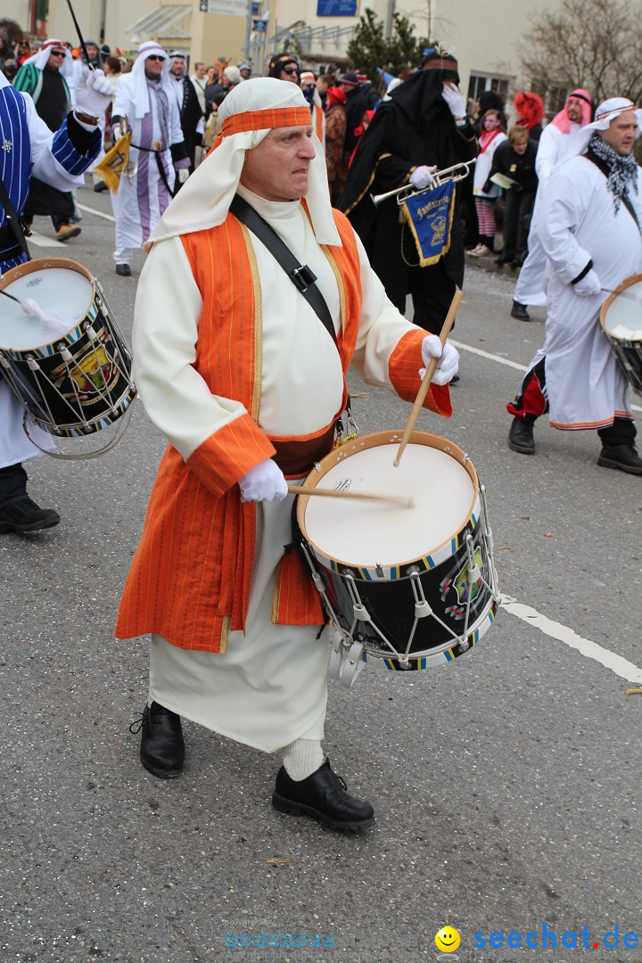 Rosenmontagsumzug: Gottmadingen am Bodensee, 11.02.2013