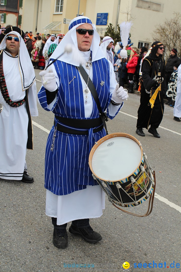 Rosenmontagsumzug: Gottmadingen am Bodensee, 11.02.2013