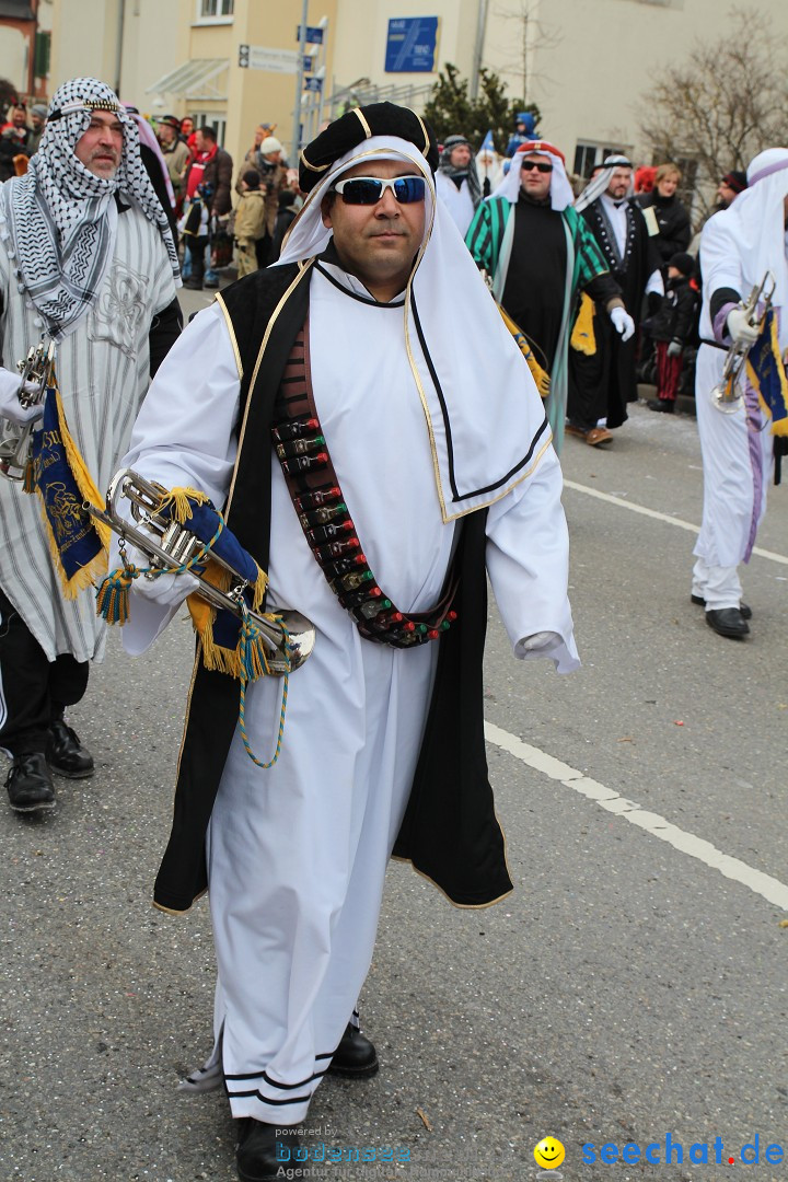 Rosenmontagsumzug: Gottmadingen am Bodensee, 11.02.2013