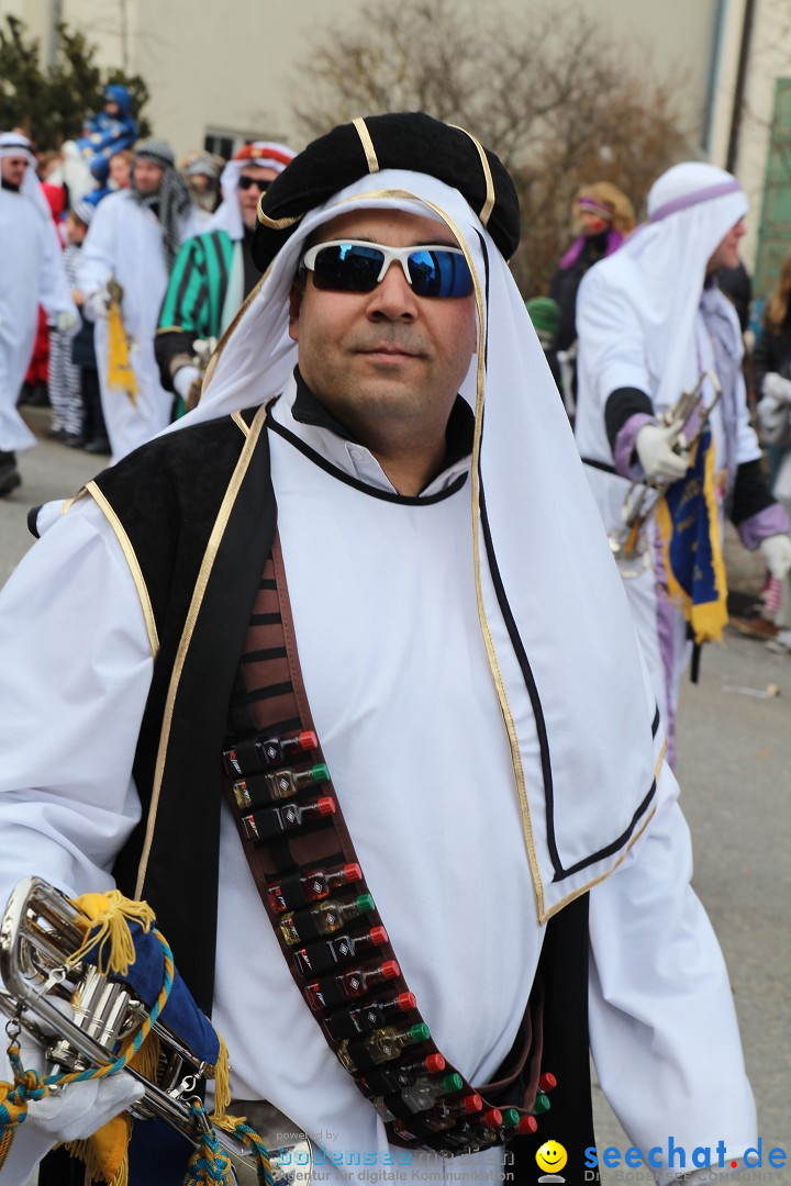 Rosenmontagsumzug: Gottmadingen am Bodensee, 11.02.2013