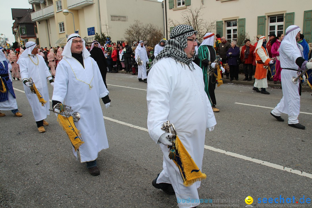 Rosenmontagsumzug: Gottmadingen am Bodensee, 11.02.2013